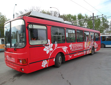 Калинка-01