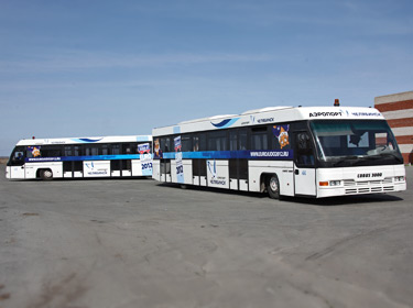 Автобус-03